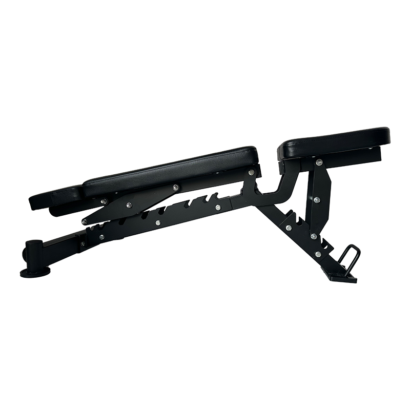 Bangku Dumbbell Komersial Mult - Adjustable Dumbbells ulasan dan harga